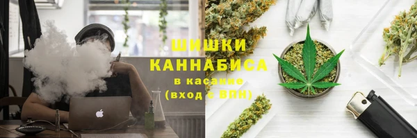 первитин Ладушкин