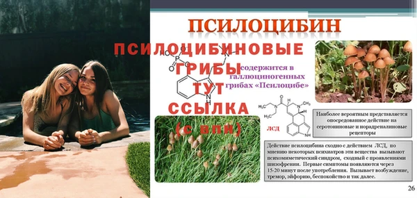 кокаин премиум Лабытнанги
