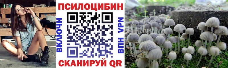 наркота  Кумертау  Псилоцибиновые грибы прущие грибы 