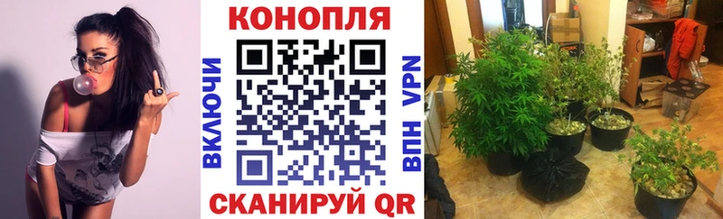 как найти   Кумертау  MEGA вход  МАРИХУАНА MAZAR 